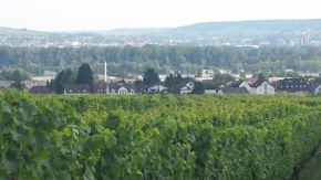 Ferienwohnung Weingut Leis